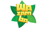 Wazamba image